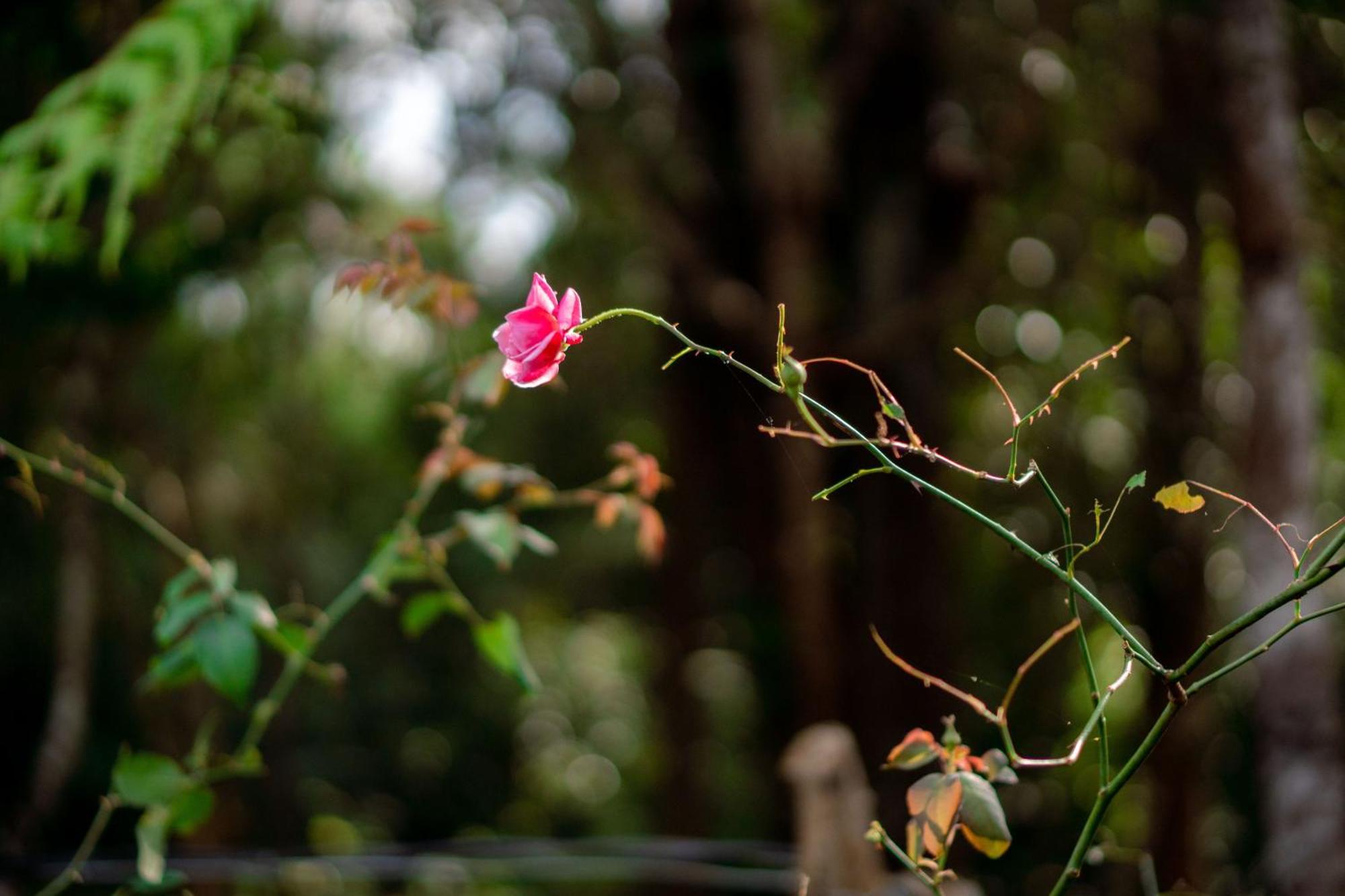 A Little Home Mang Den Kon Von Kla エクステリア 写真
